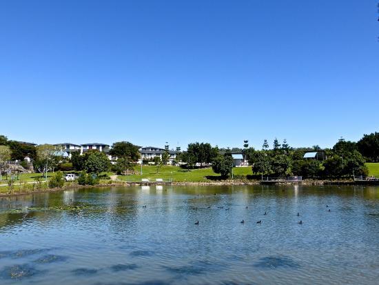 Pacific Pines Central Park